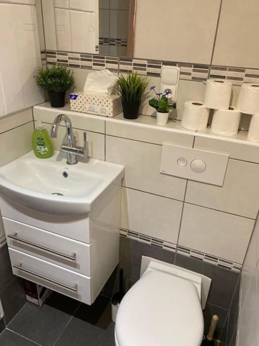 Apartment Star Brno With Terrace 5 Komín المظهر الخارجي الصورة